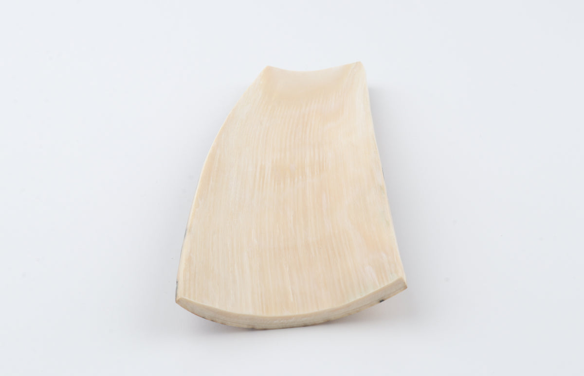 Creme-black mammoth bark