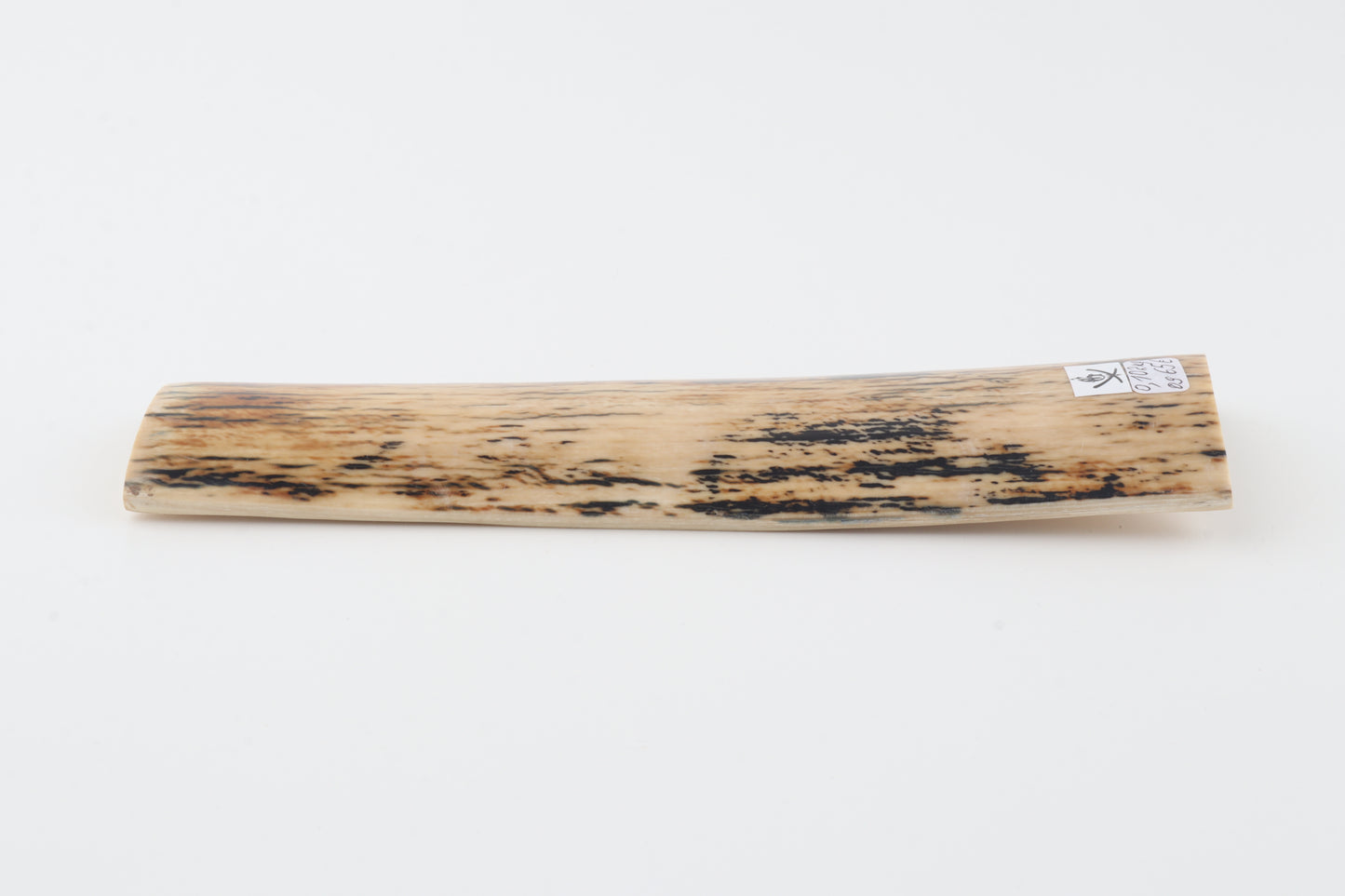 Creme-black mammoth bark