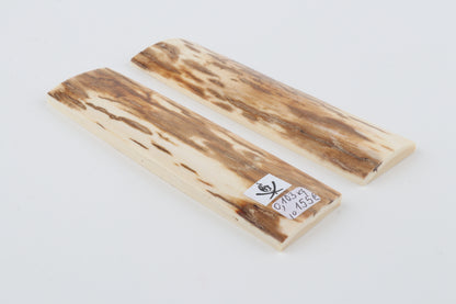 Natural mammoth bark scales