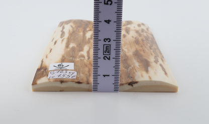 Natural mammoth bark scales