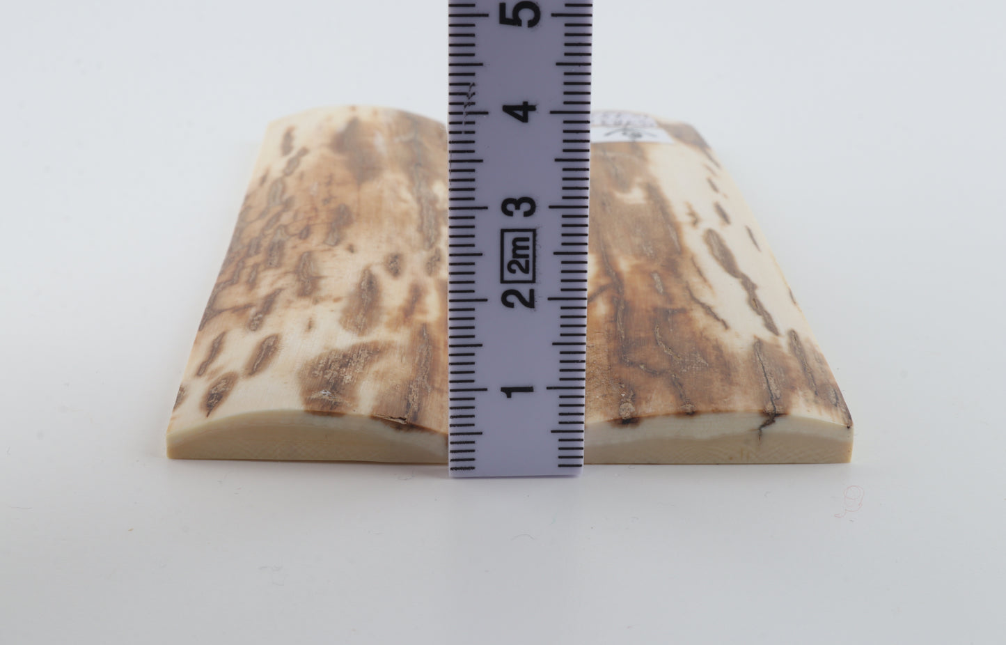 Natural mammoth bark scales