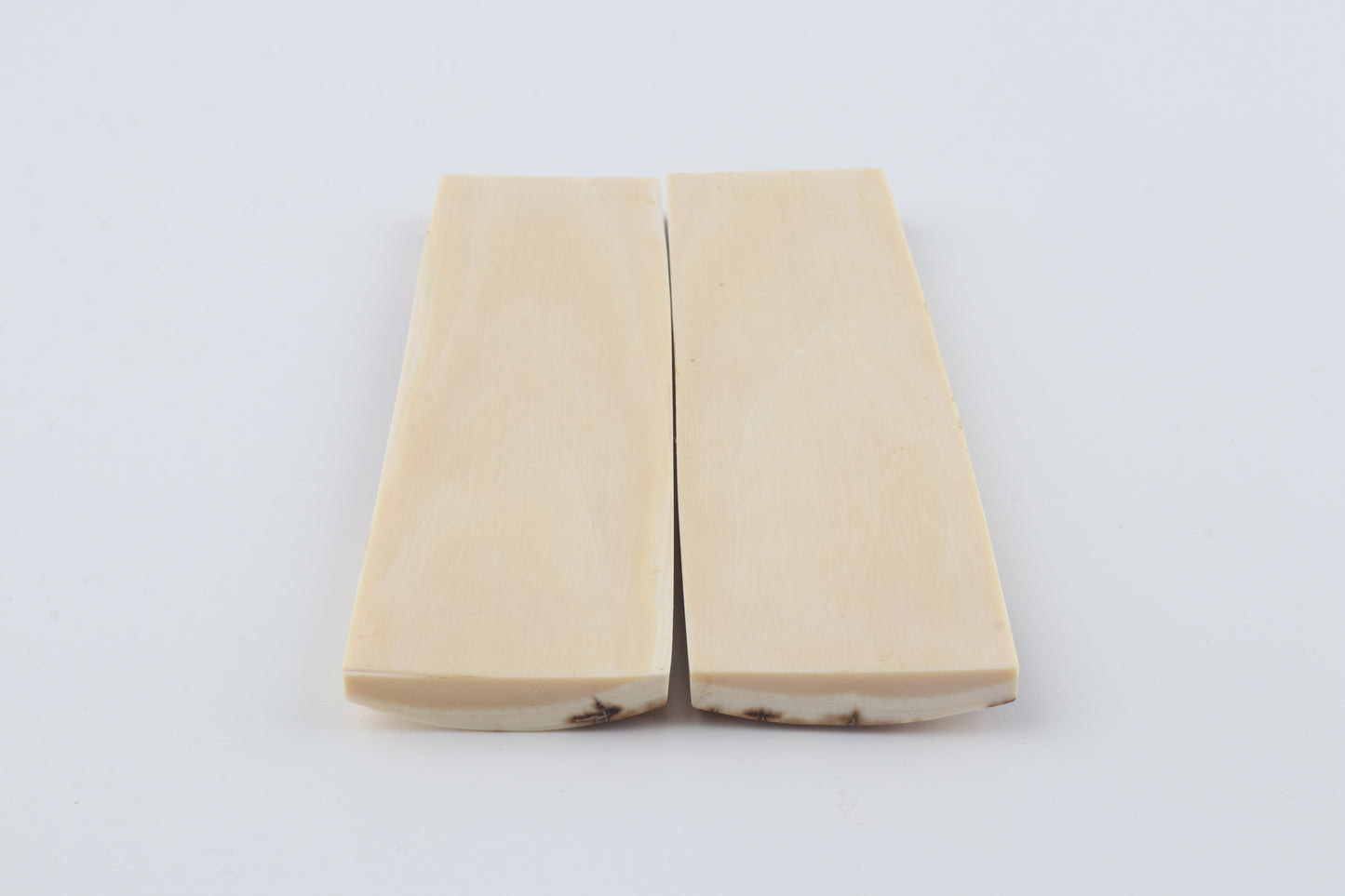 Natural mammoth bark scales