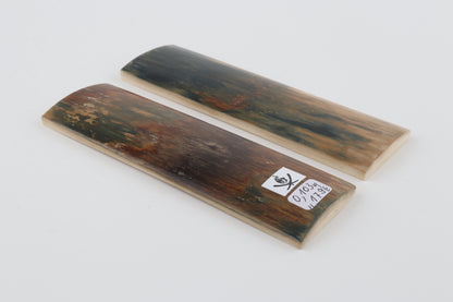 Natural mammoth bark scales