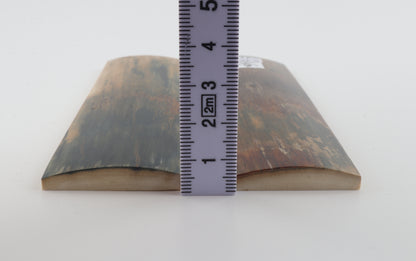 Natural mammoth bark scales