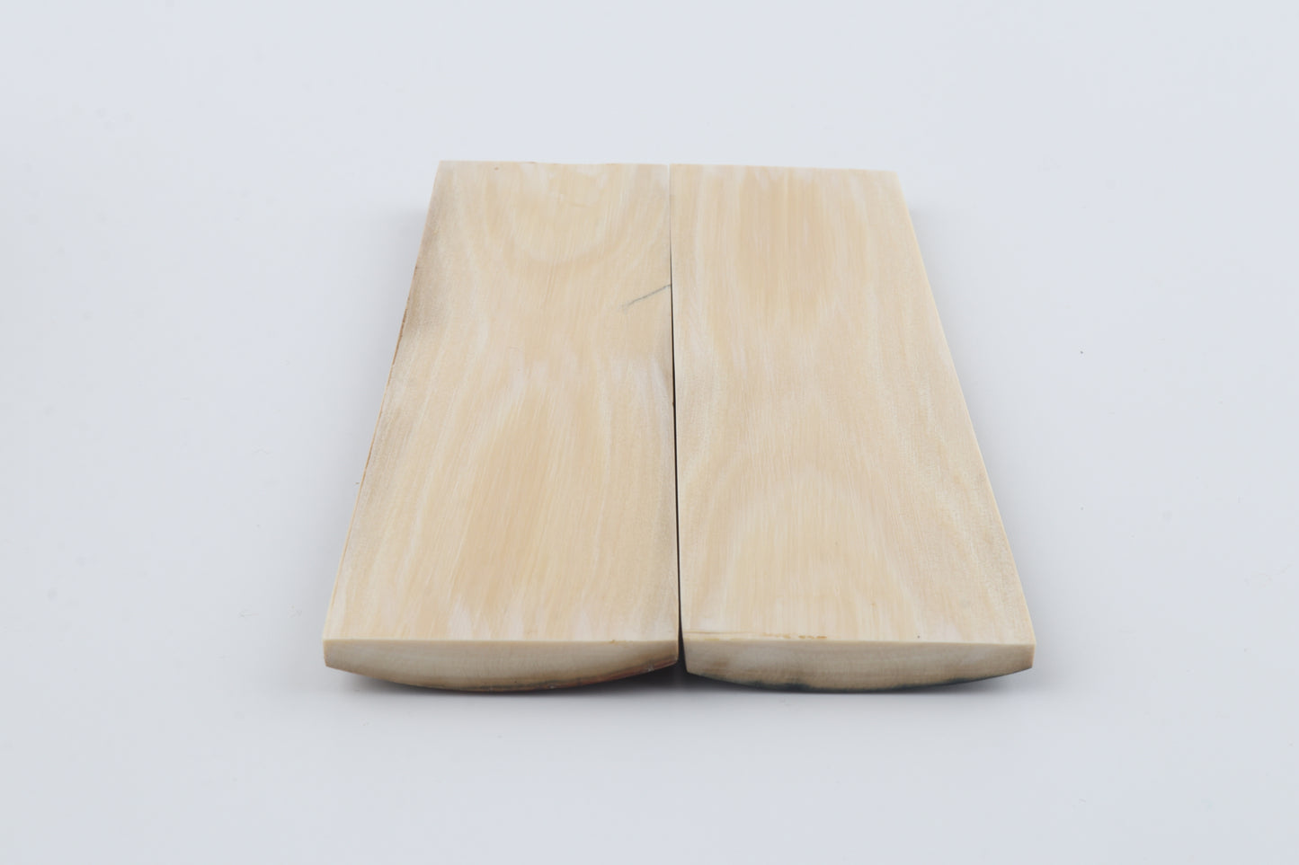 Natural mammoth bark scales