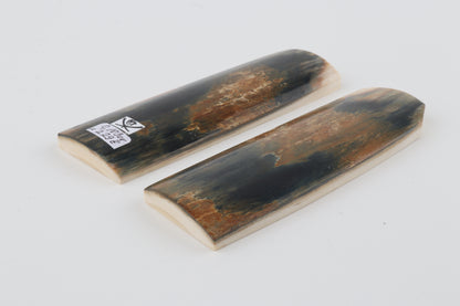 Natural mammoth bark scales