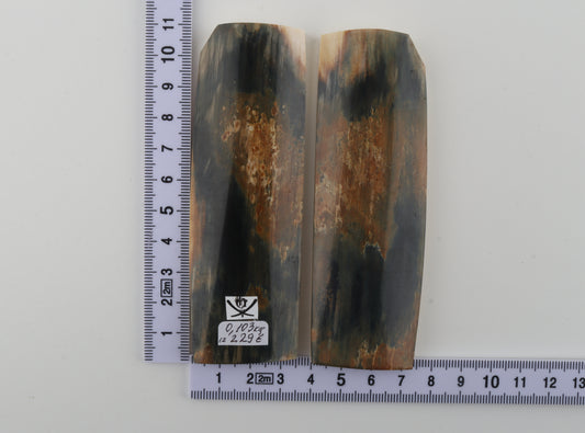 Natural mammoth bark scales
