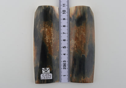 Natural mammoth bark scales