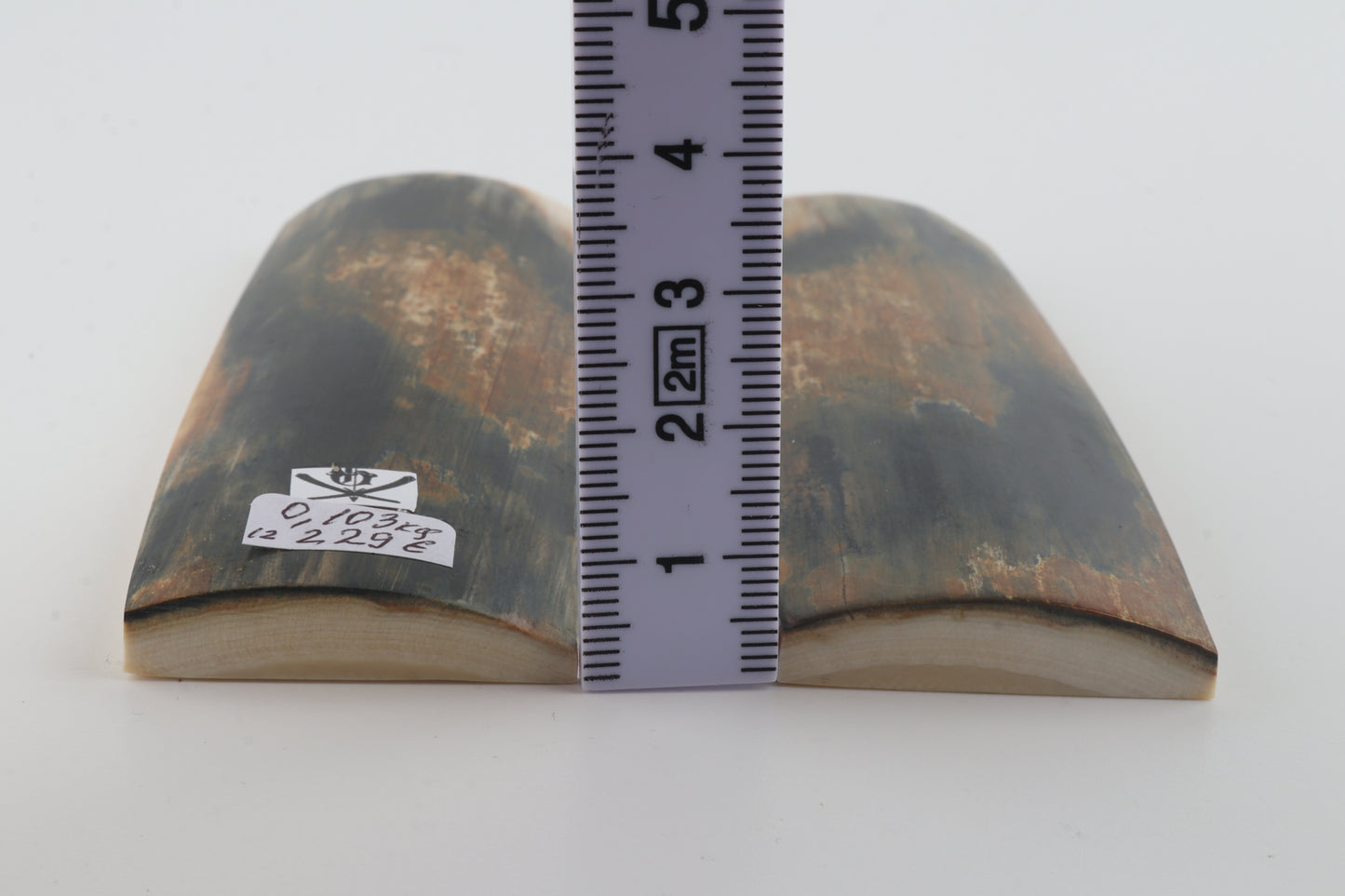 Natural mammoth bark scales