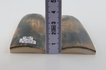 Natural mammoth bark scales