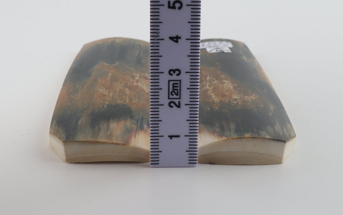 Natural mammoth bark scales