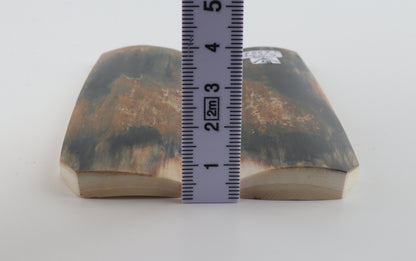 Natural mammoth bark scales