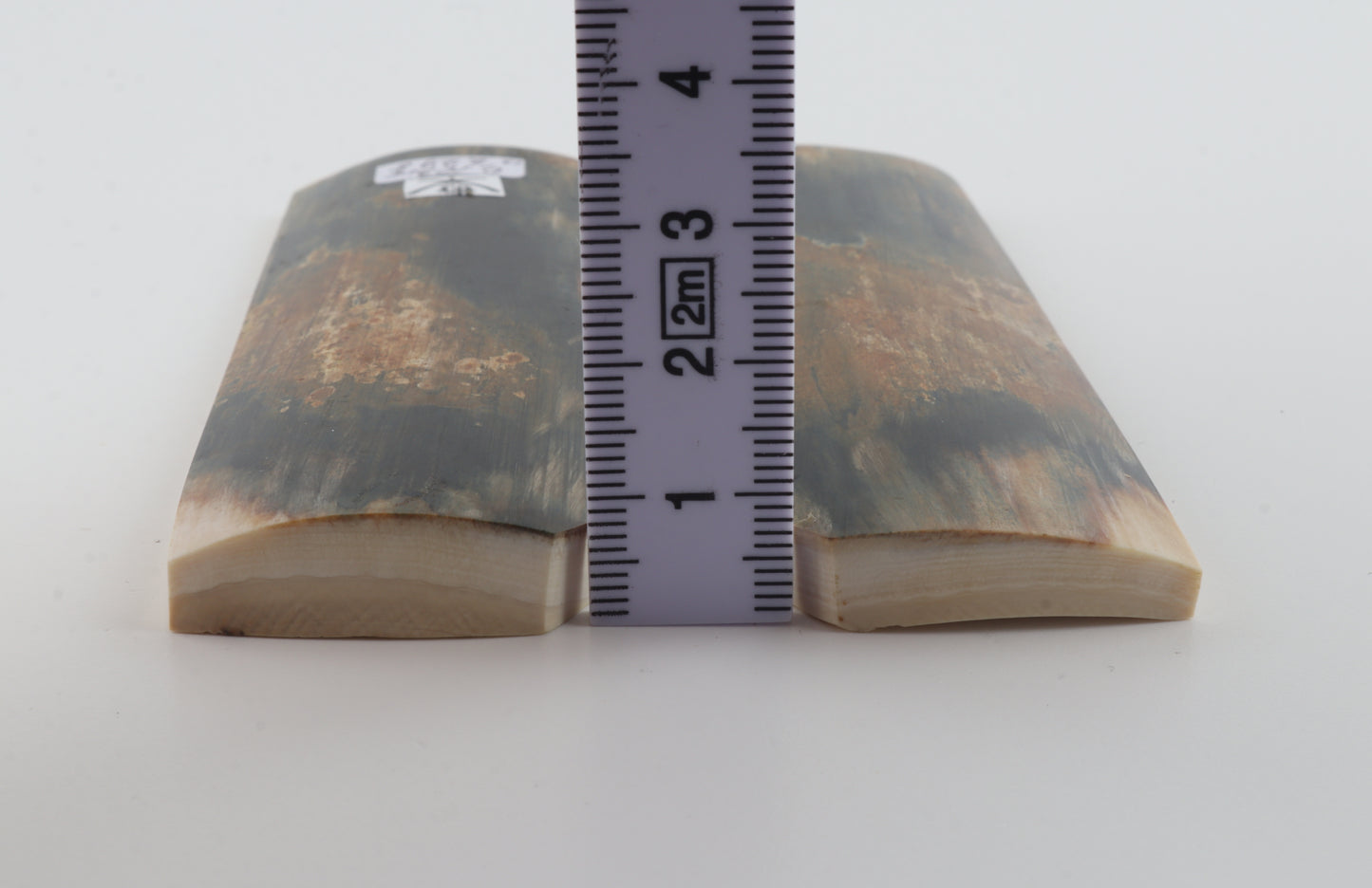 Natural mammoth bark scales