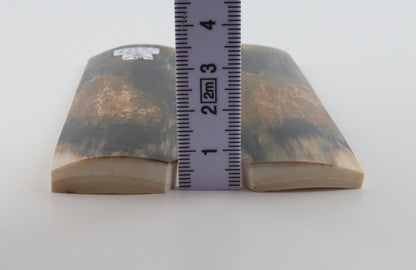 Natural mammoth bark scales