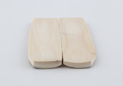 Natural mammoth bark scales