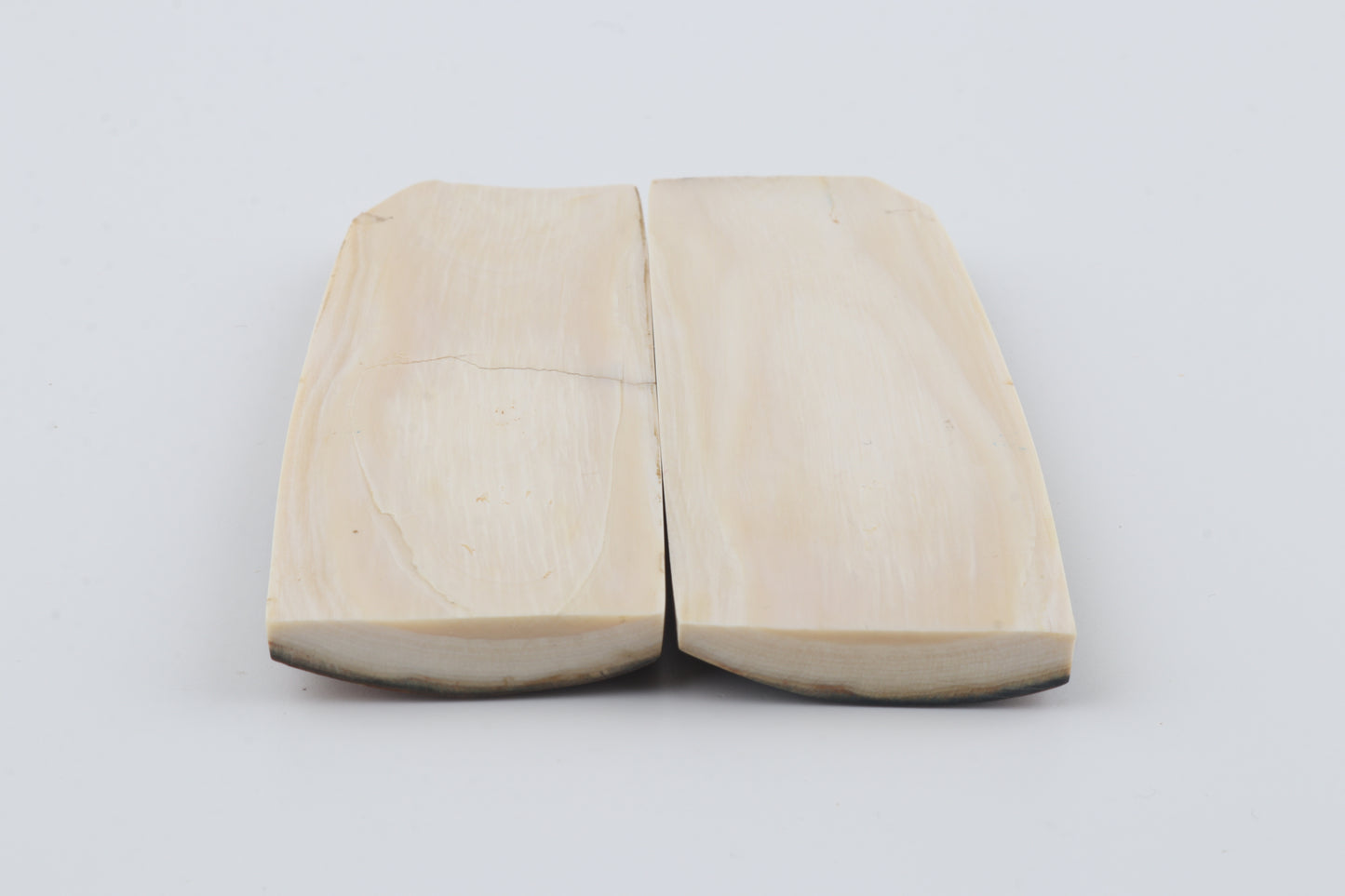 Natural mammoth bark scales