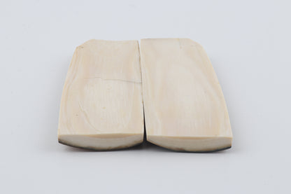 Natural mammoth bark scales