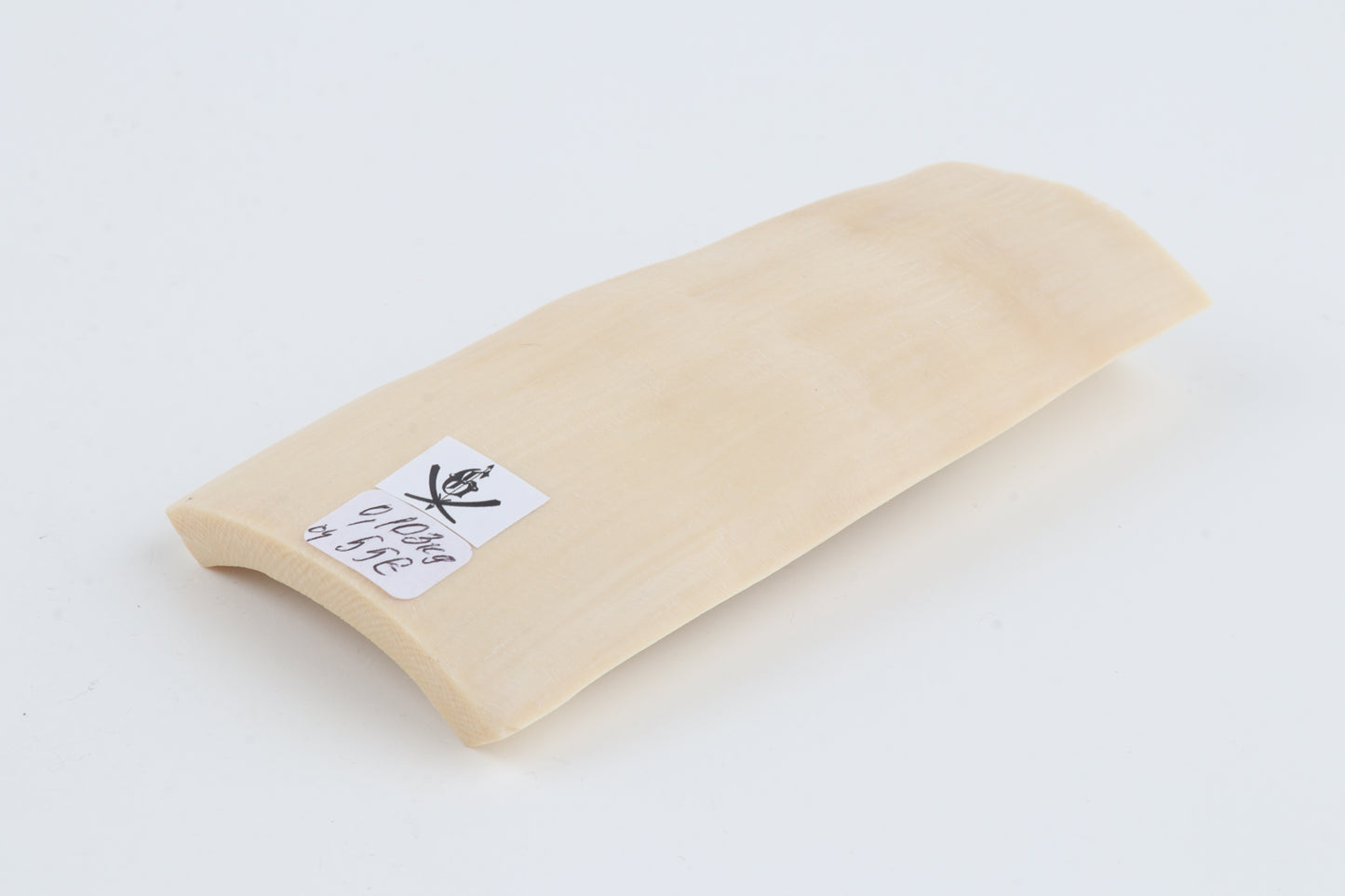 Natural mammoth ivory piece