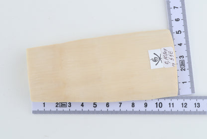 Natural mammoth ivory piece