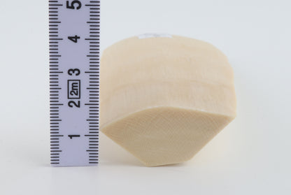 Natural mammoth ivory piece