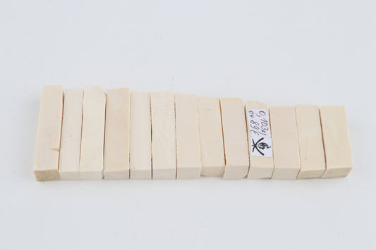 White mammoth ivory pieces