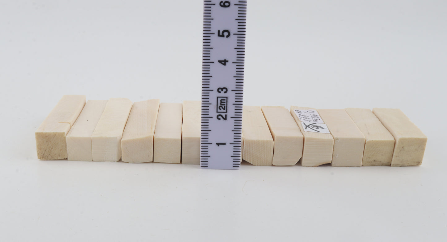 White mammoth ivory pieces