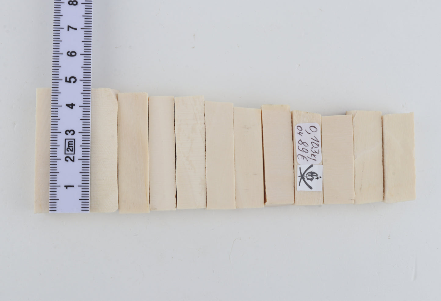 White mammoth ivory pieces