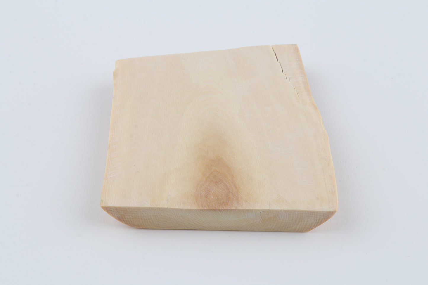White mammoth ivory segment