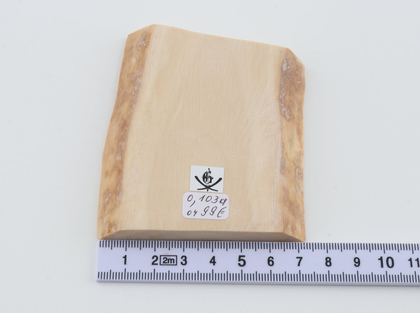 White mammoth ivory segment
