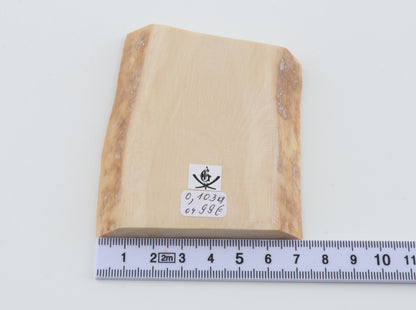 White mammoth ivory segment