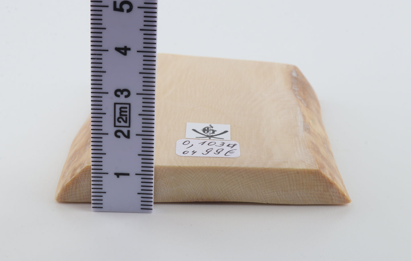 White mammoth ivory segment