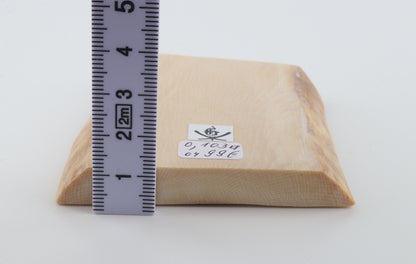 White mammoth ivory segment