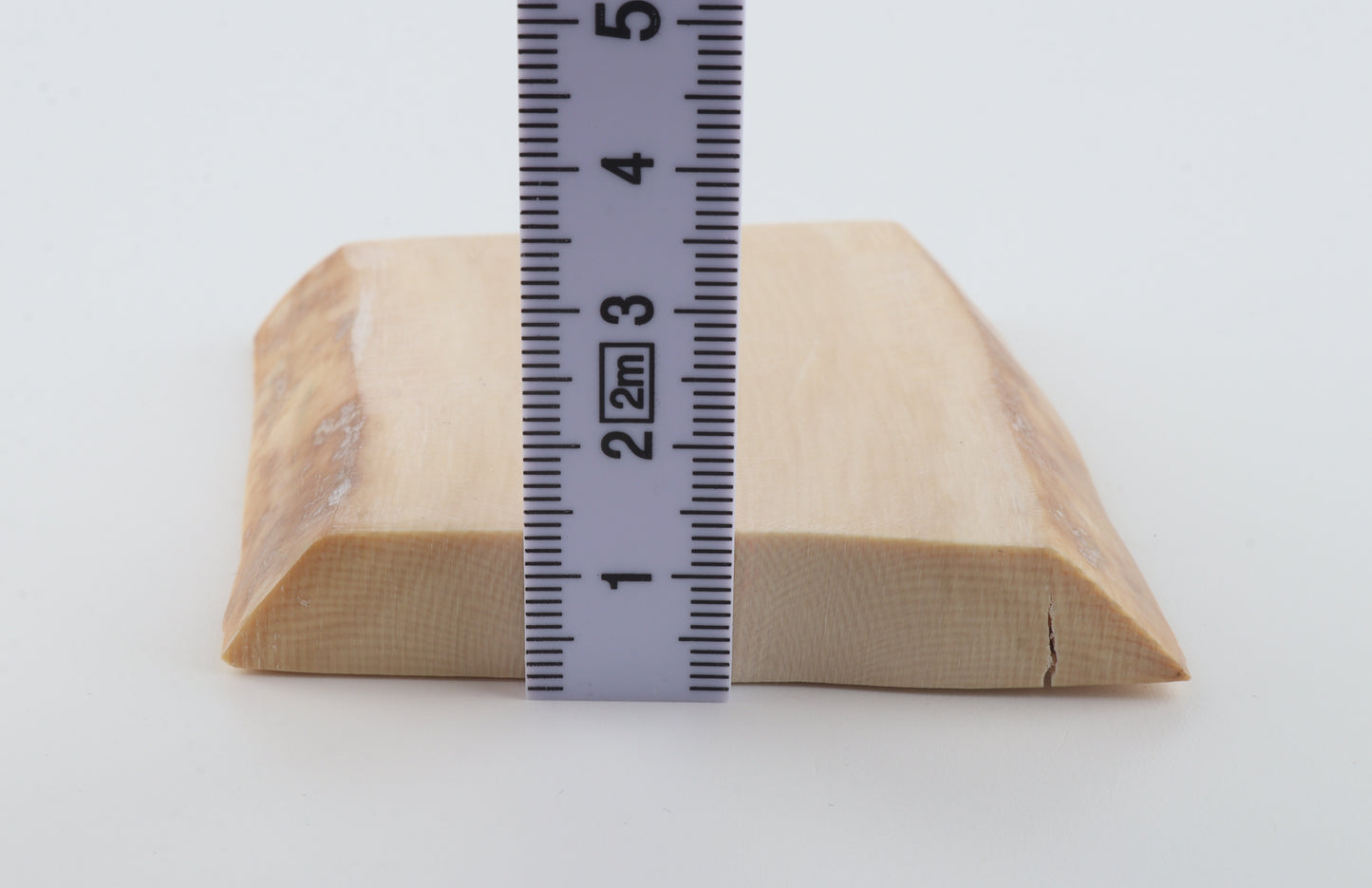 White mammoth ivory segment