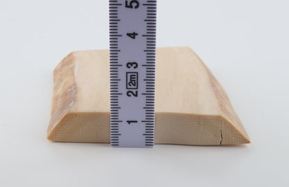 White mammoth ivory segment