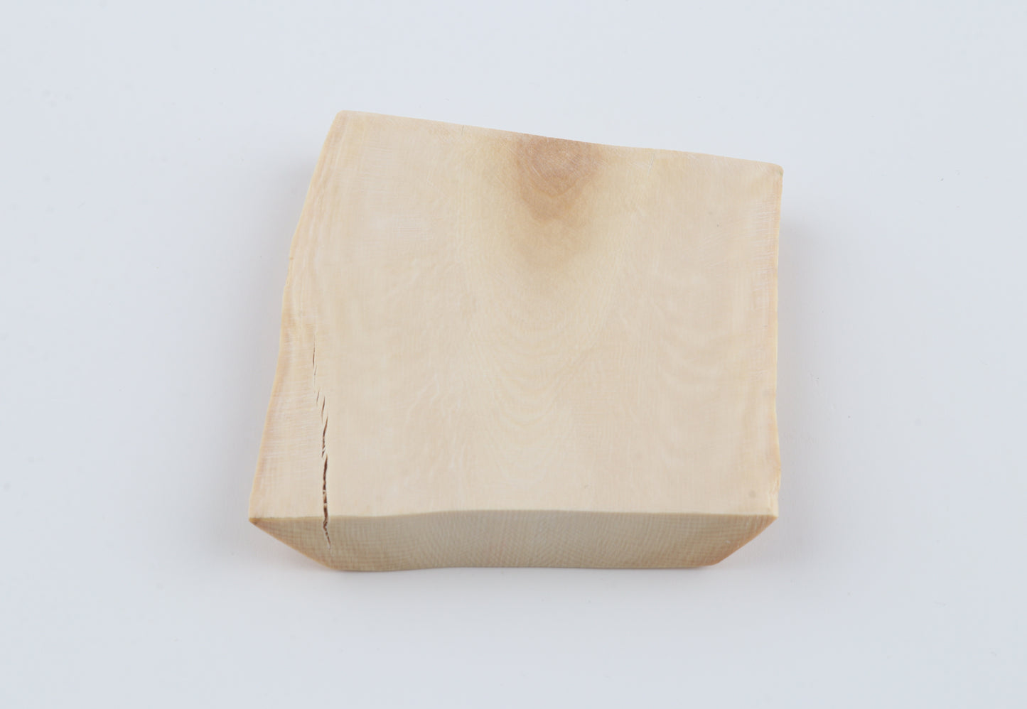 White mammoth ivory segment