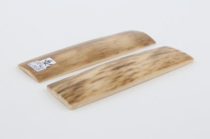 Natural mammoth bark scales