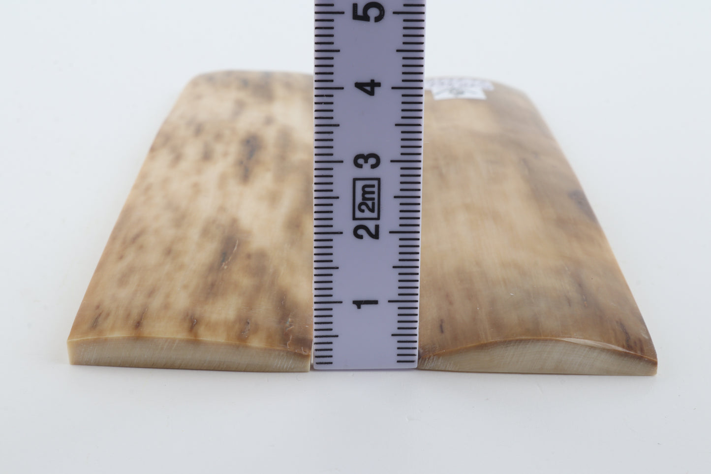 Natural mammoth bark scales