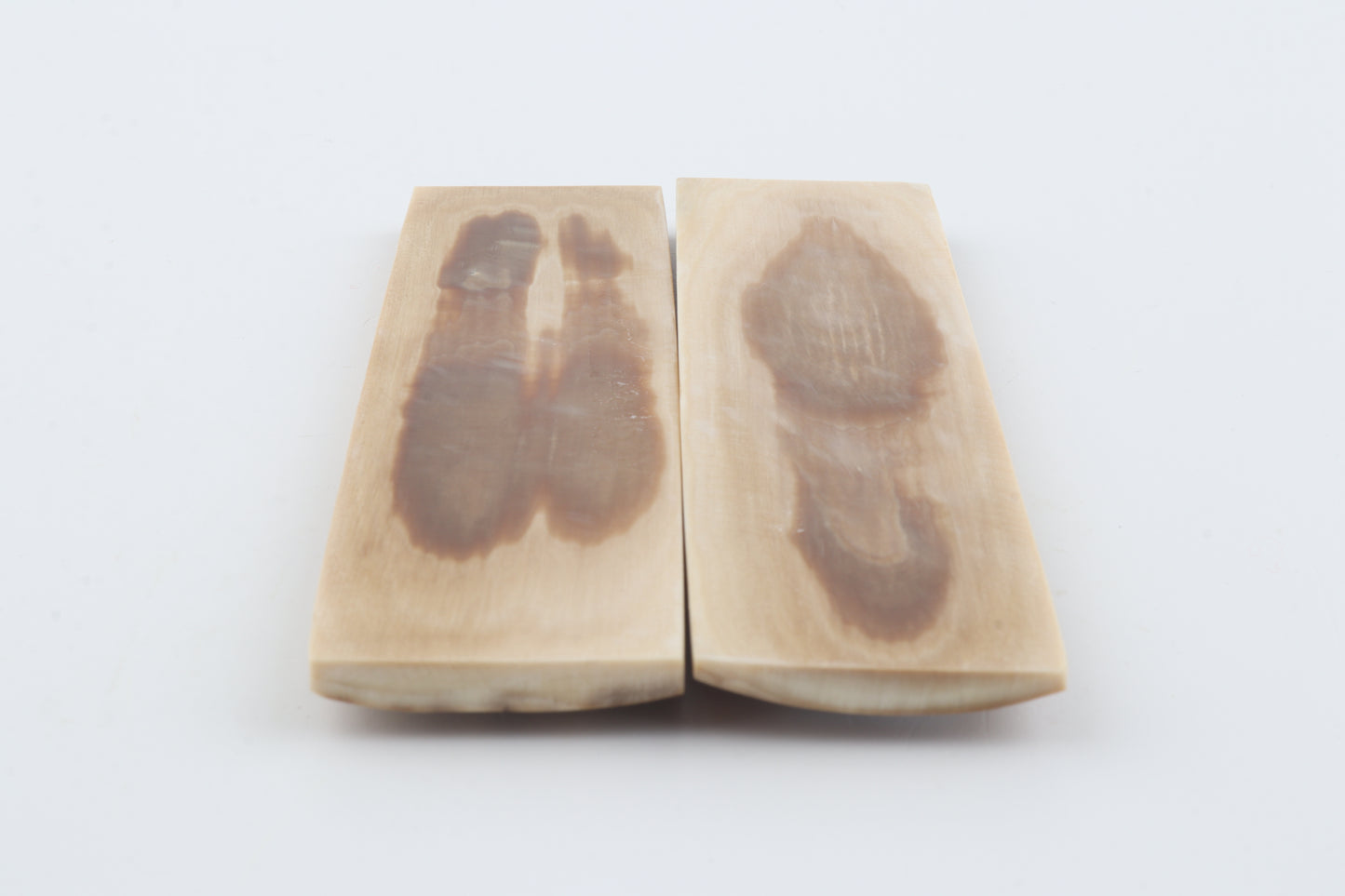 Natural mammoth bark scales