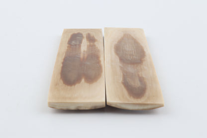 Natural mammoth bark scales