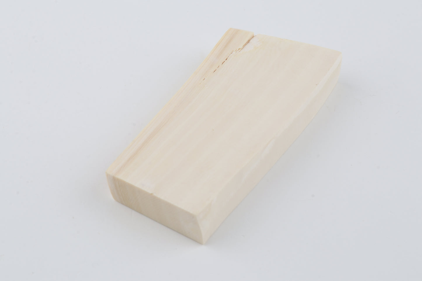 White mammoth ivory segment