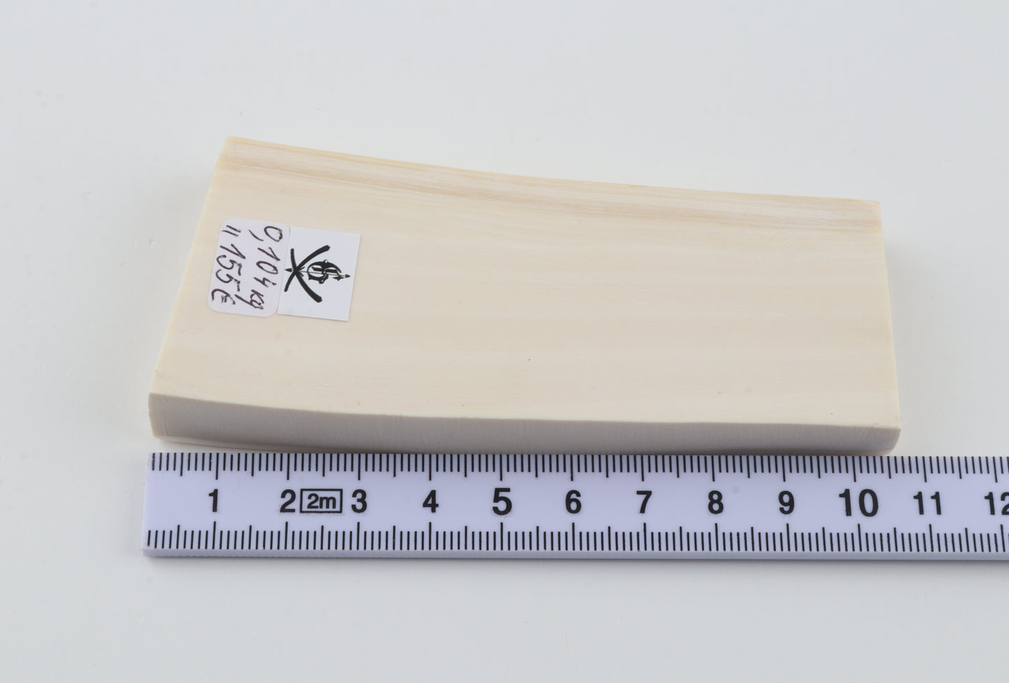 White mammoth ivory segment