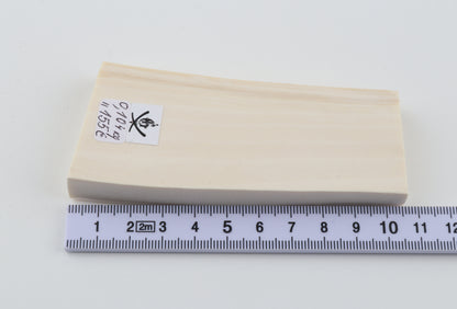 White mammoth ivory segment