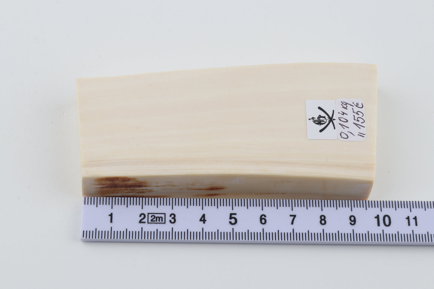 White mammoth ivory segment