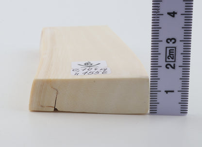 White mammoth ivory segment