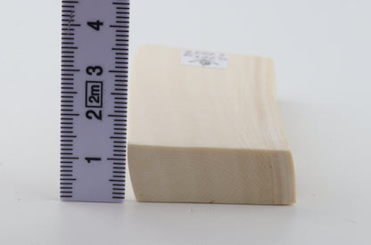 White mammoth ivory segment