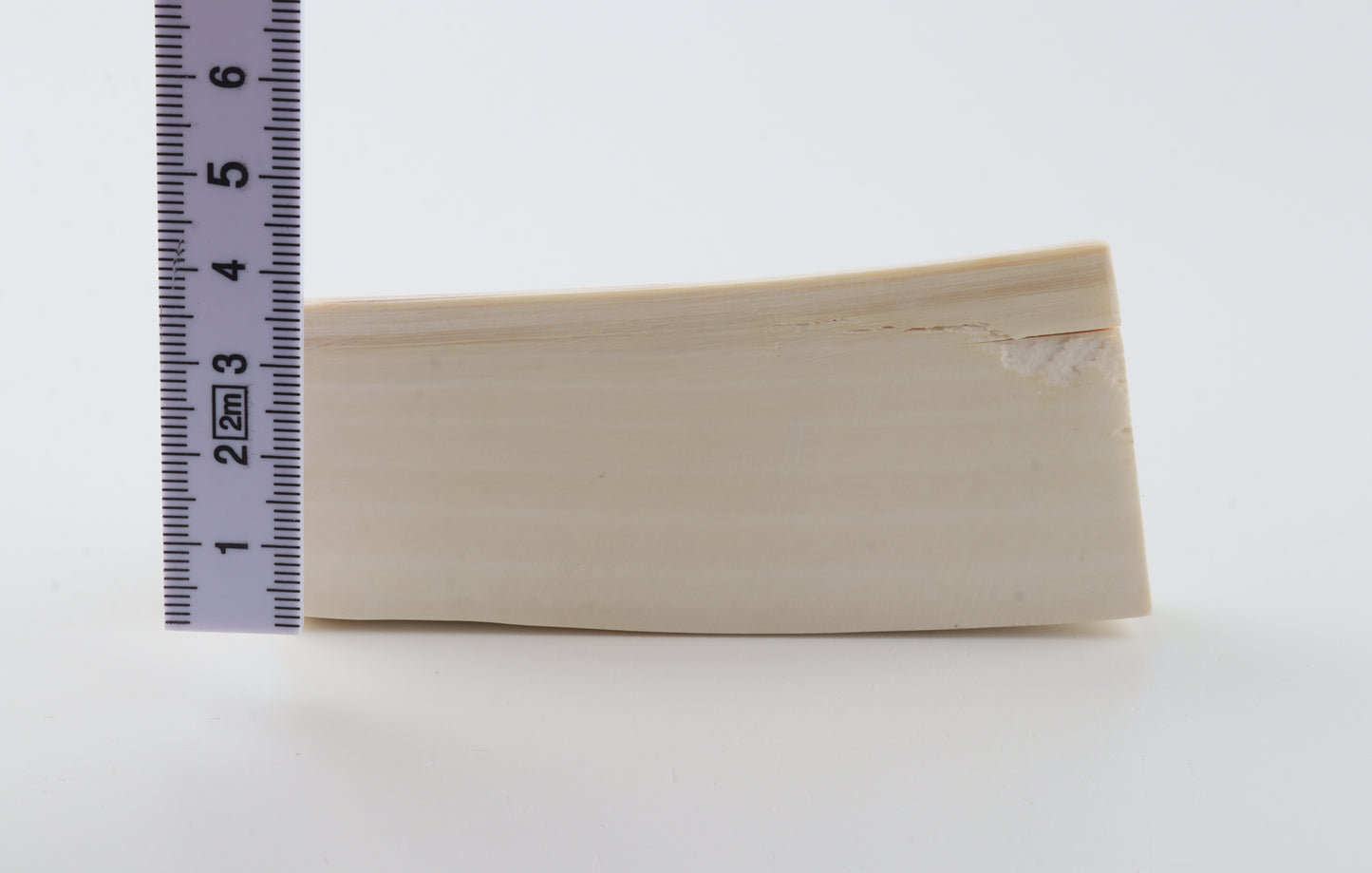 White mammoth ivory segment