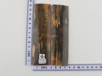 Natural mammoth bark scales