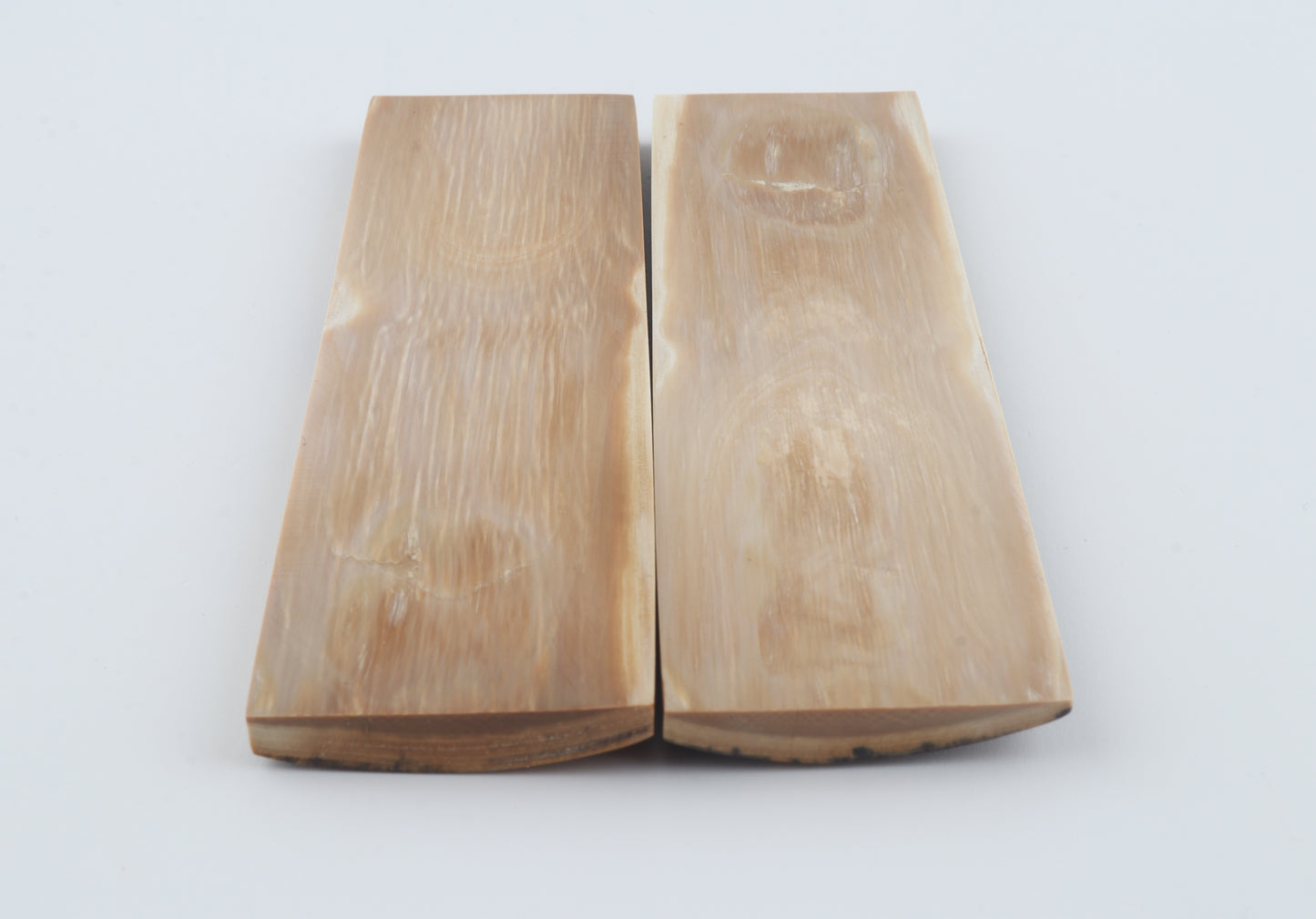 Natural mammoth bark scales