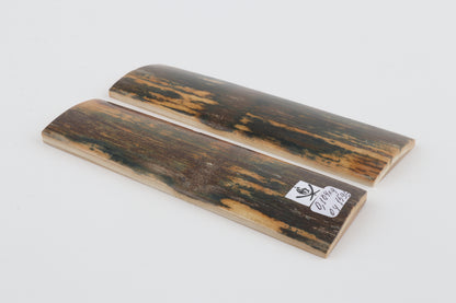 Natural mammoth bark scales