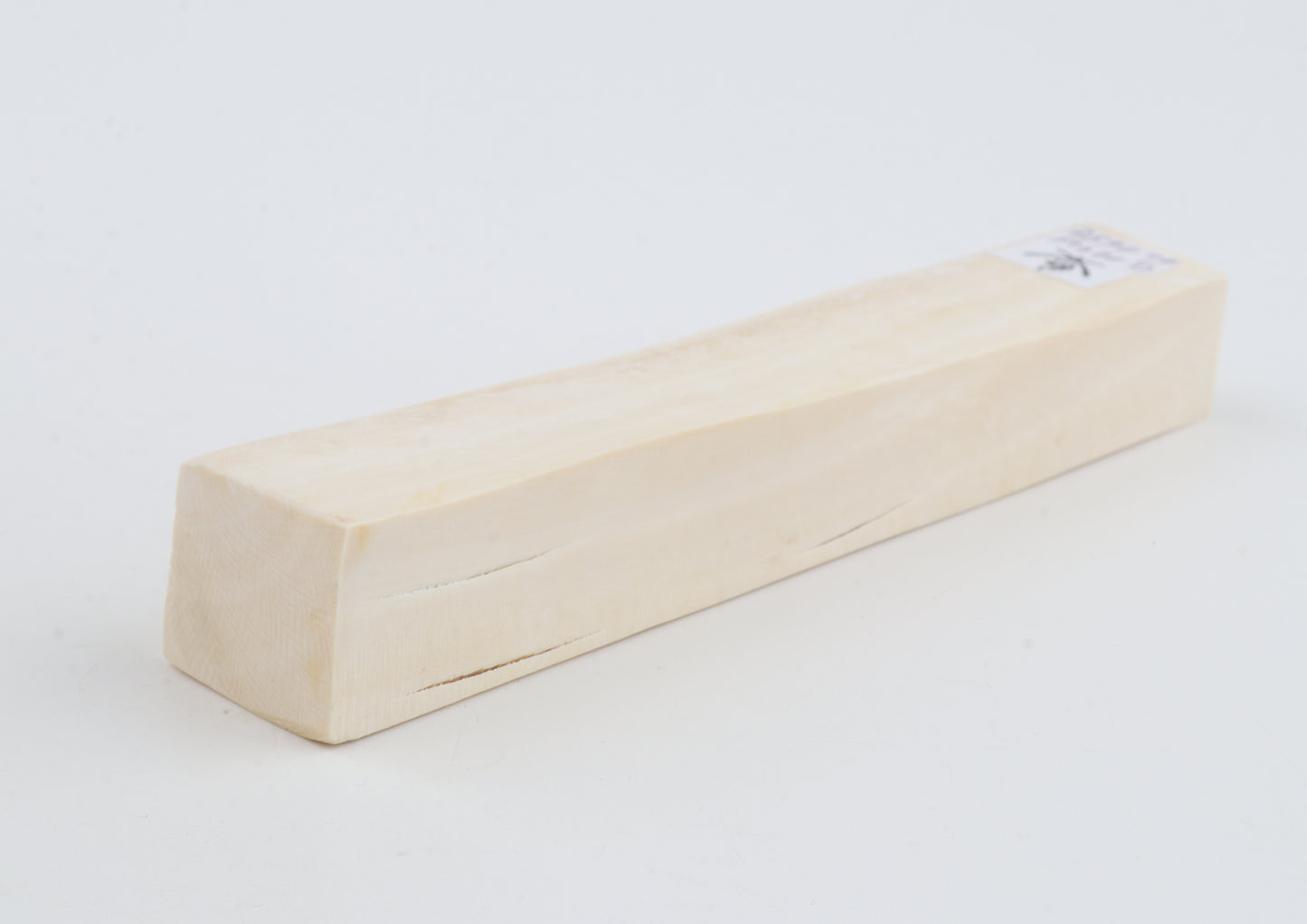 White mammoth ivory segment